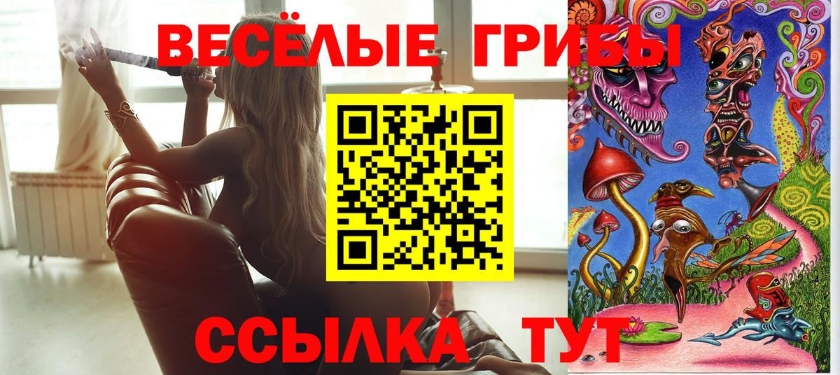 Псилоцибиновые грибы мицелий Кунгур