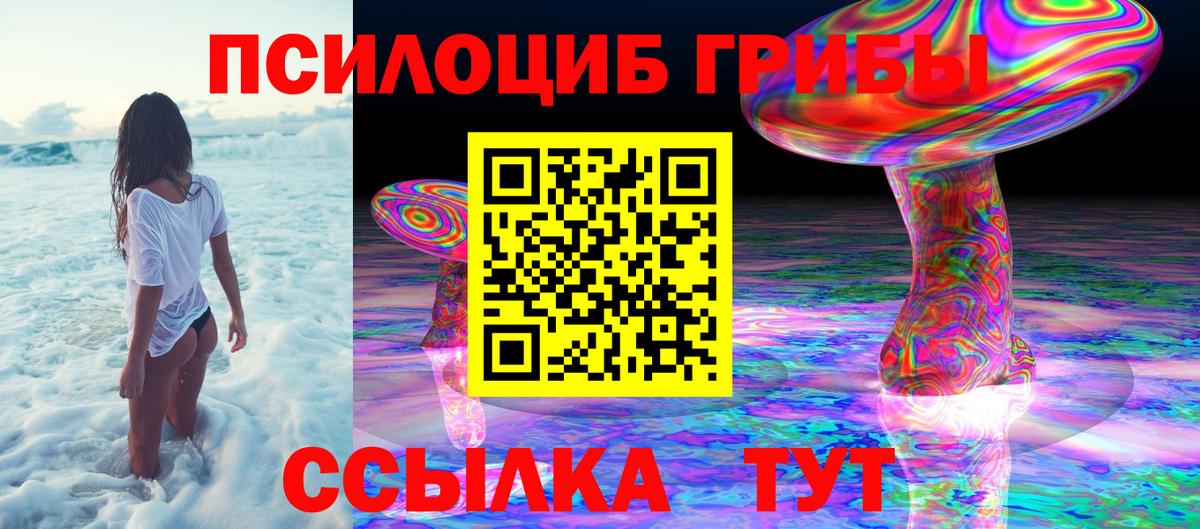 Псилоцибиновые грибы Cubensis  Вход с VPN  Кунгур 